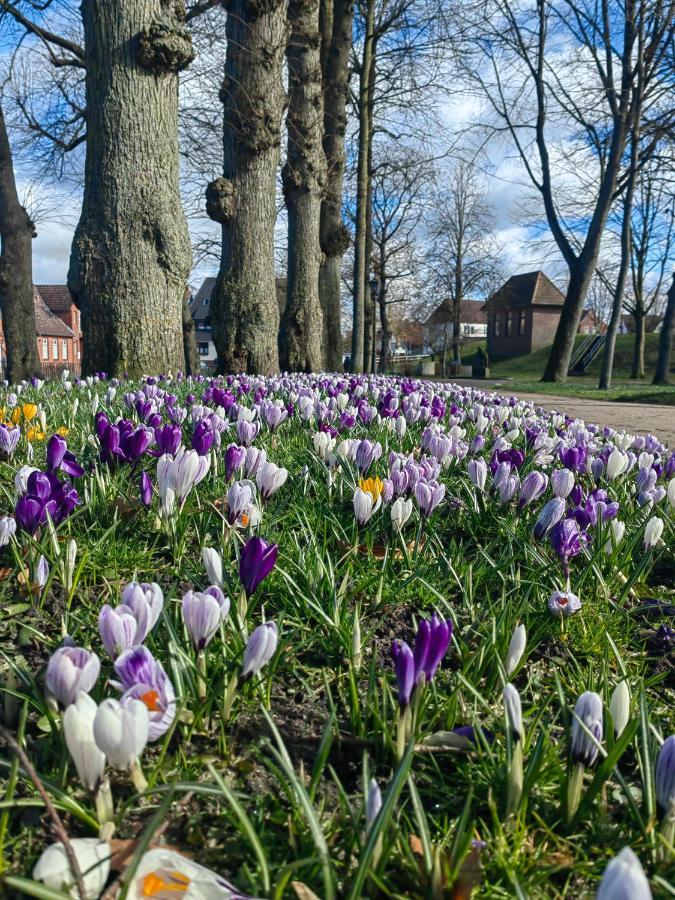 Gaestehaus Arkona Tonning Bagian luar foto